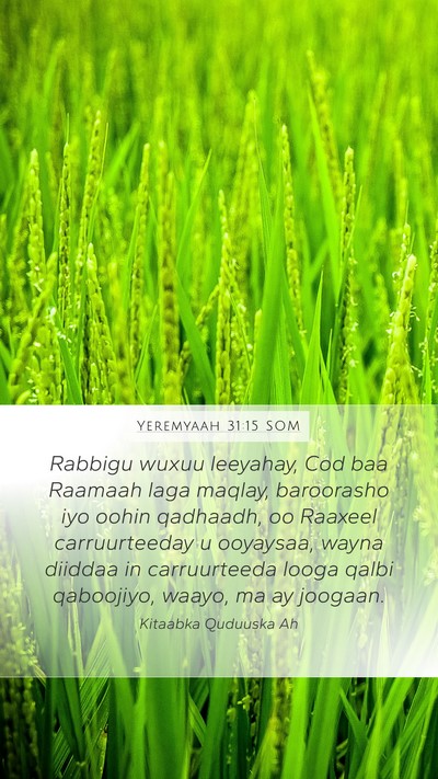 Yeremyaah 31:15 SOM Bible Verse Image