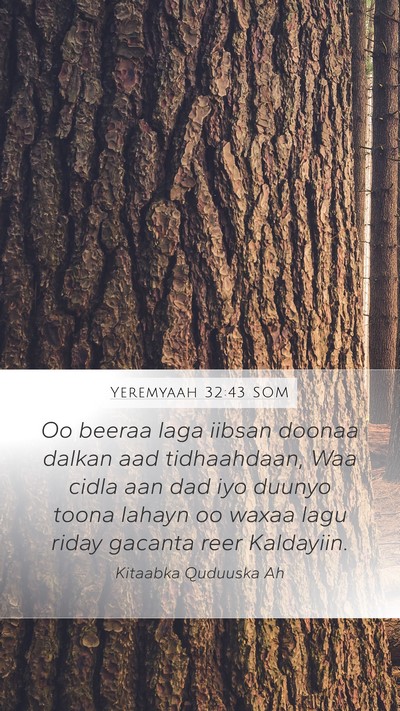 Yeremyaah 32:43 SOM Bible Verse Image