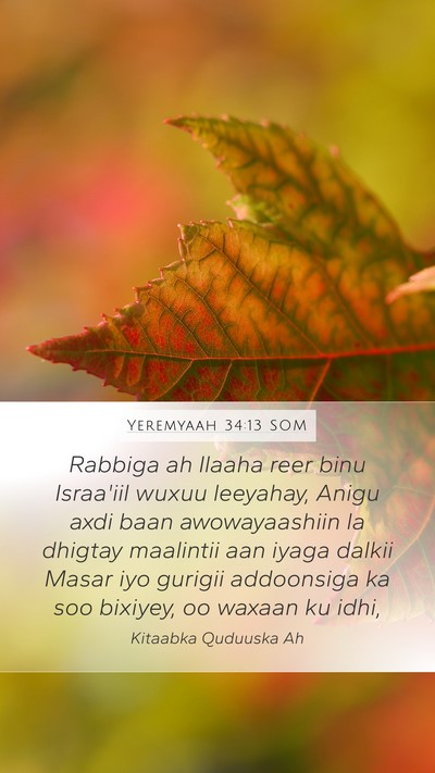 Yeremyaah 34:13 SOM Bible Verse Image