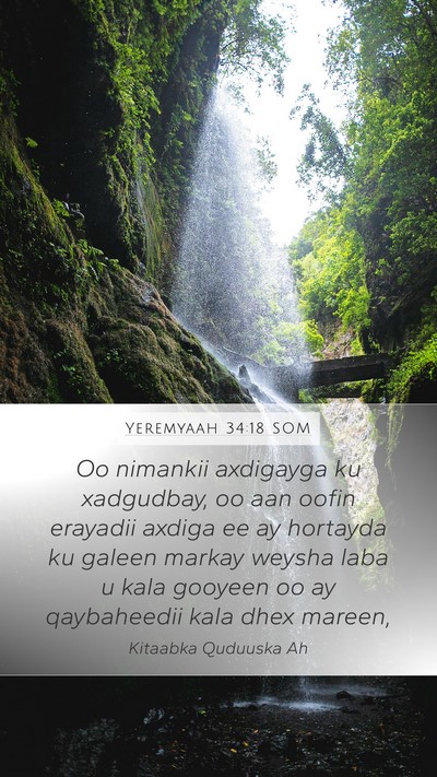 Yeremyaah 34:18 SOM Bible Verse Image