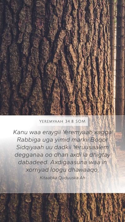 Yeremyaah 34:8 SOM Mobile Phone Wallpaper - Kanu waa eraygii Yeremyaah xagga Rabbiga uga - Mobile Bible Verse Wallpaper