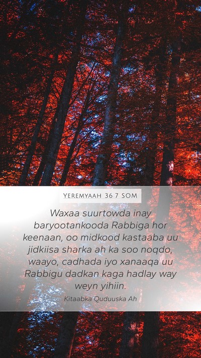 Yeremyaah 36:7 SOM Bible Verse Image