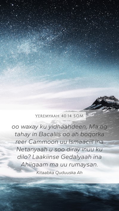 Yeremyaah 40:14 SOM Bible Verse Image