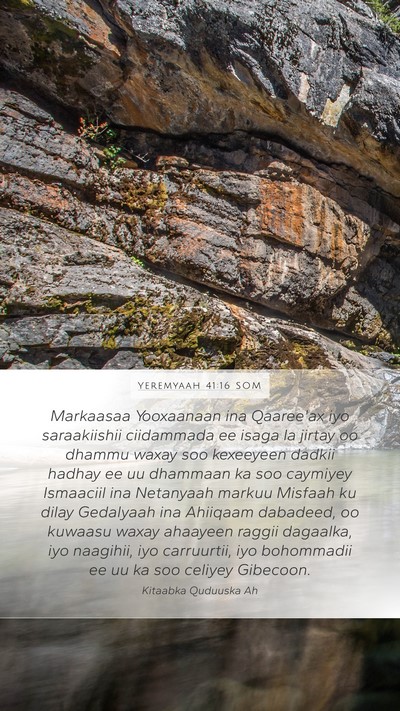 Yeremyaah 41:16 SOM Bible Verse Image