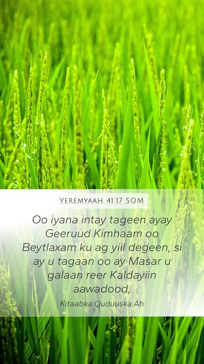 Yeremyaah 41:17 SOM Mobile Phone Wallpaper - Oo iyana intay tageen ayay Geeruud Kimhaam oo - Mobile Bible Verse Wallpaper