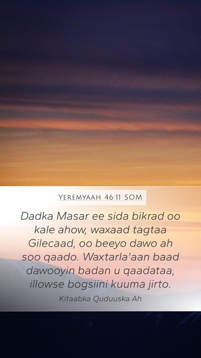 Yeremyaah 46:11 SOM Bible Verse Image