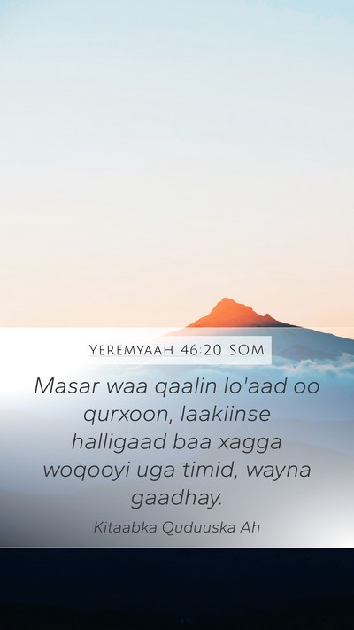 Yeremyaah 46:20 SOM Bible Verse Image