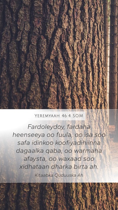 Yeremyaah 46:4 SOM Bible Verse Image