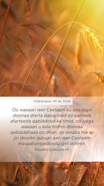 Yeremyaah 49:36 SOM Bible Verse Image
