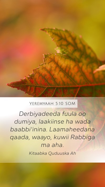 Yeremyaah 5:10 SOM Bible Verse Image