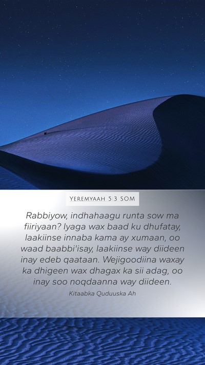 Yeremyaah 5:3 SOM Bible Verse Image