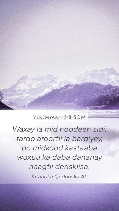 Yeremyaah 5:8 SOM Bible Verse Image