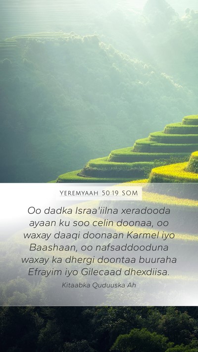 Yeremyaah 50:19 SOM Bible Verse Image