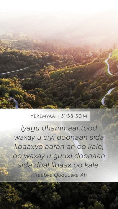 Yeremyaah 51:38 SOM Bible Verse Image