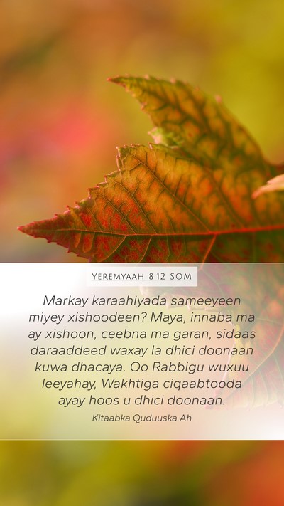 Yeremyaah 8:12 SOM Bible Verse Image