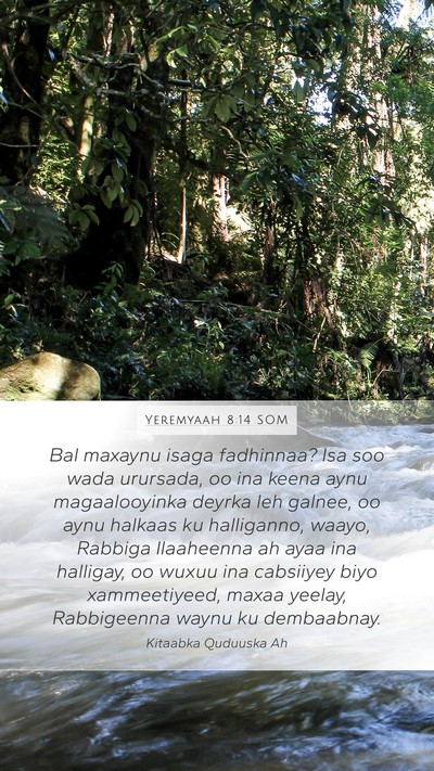 Yeremyaah 8:14 SOM Bible Verse Image