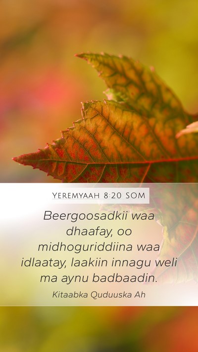 Yeremyaah 8:20 SOM Bible Verse Image