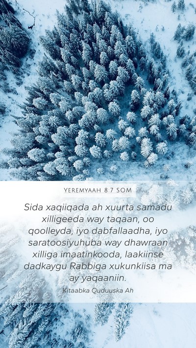 Yeremyaah 8:7 SOM Bible Verse Image
