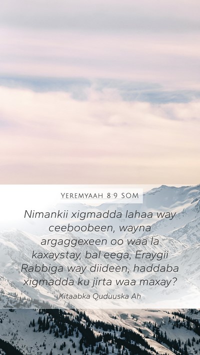 Yeremyaah 8:9 SOM Bible Verse Image