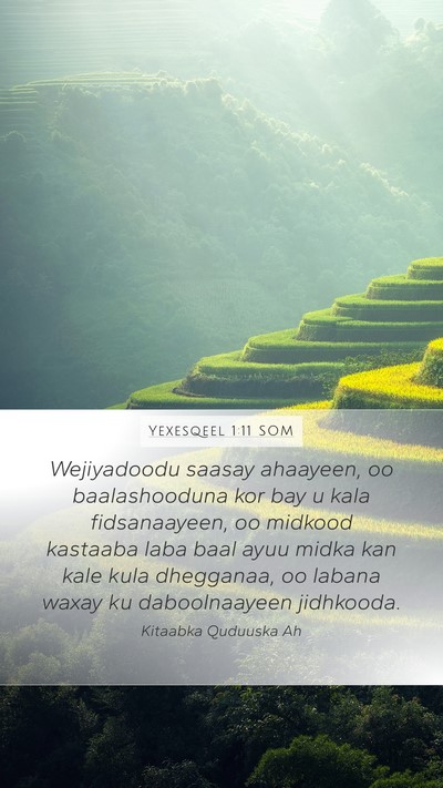 Yexesqeel 1:11 SOM Bible Verse Image