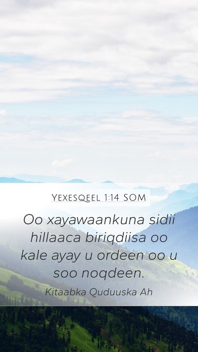 Yexesqeel 1:14 SOM Bible Verse Image