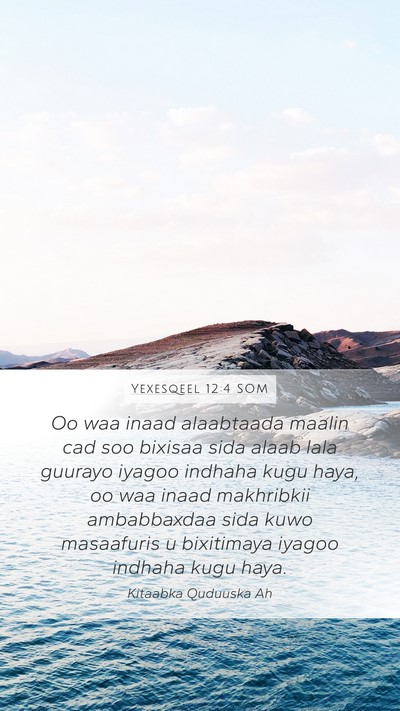 Yexesqeel 12:4 SOM Mobile Phone Wallpaper - Oo waa inaad alaabtaada maalin cad soo bixisaa - Mobile Bible Verse Wallpaper