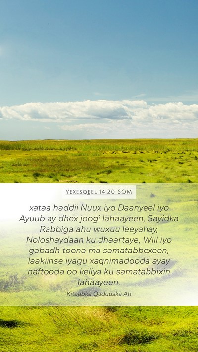 Yexesqeel 14:20 SOM Bible Verse Image