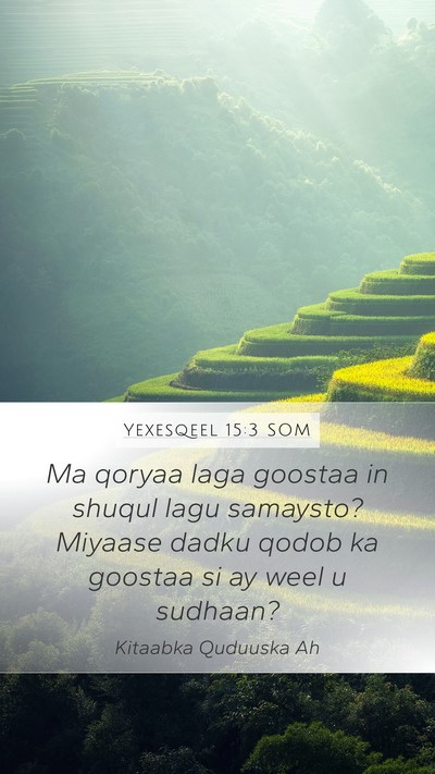 Yexesqeel 15:3 SOM Mobile Phone Wallpaper - Ma qoryaa laga goostaa in shuqul lagu samaysto? - Mobile Bible Verse Wallpaper