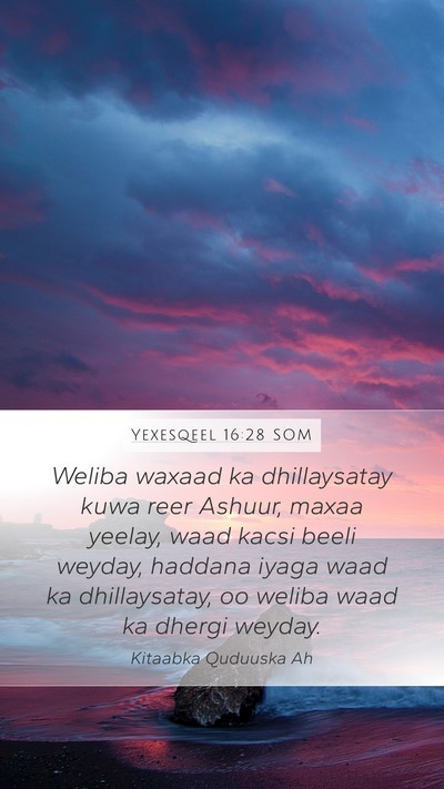 Yexesqeel 16:28 SOM Bible Verse Image