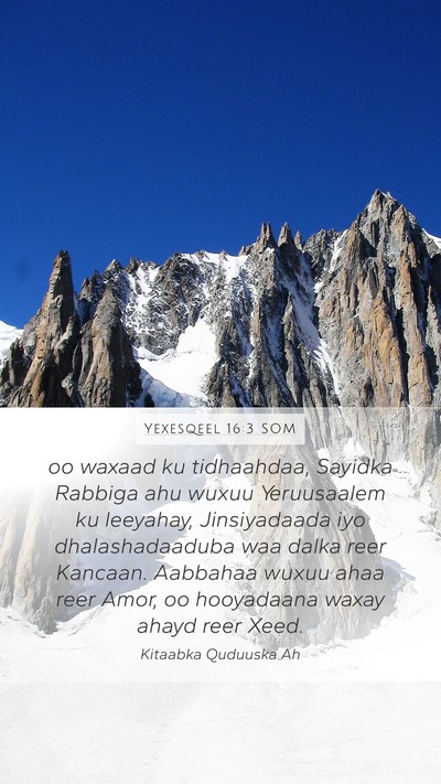 Yexesqeel 16:3 SOM Bible Verse Image