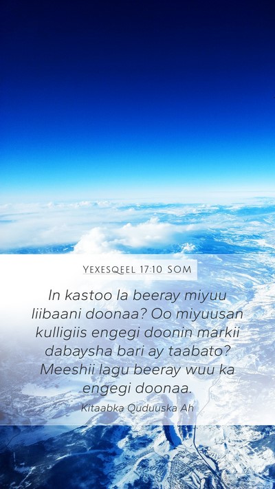 Yexesqeel 17:10 SOM Bible Verse Image