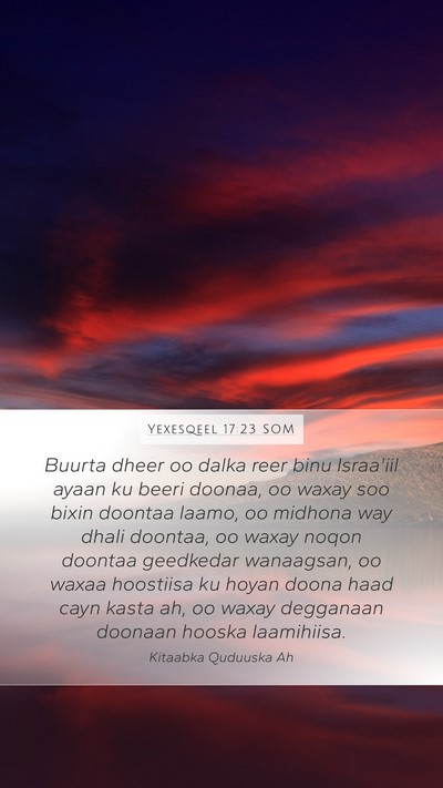 Yexesqeel 17:23 SOM Bible Verse Image