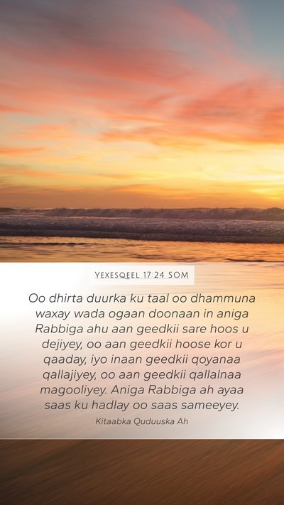 Yexesqeel 17:24 SOM Bible Verse Image