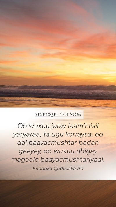 Yexesqeel 17:4 SOM Mobile Phone Wallpaper - Oo wuxuu jaray laamihiisii yaryaraa, ta ugu - Mobile Bible Verse Wallpaper