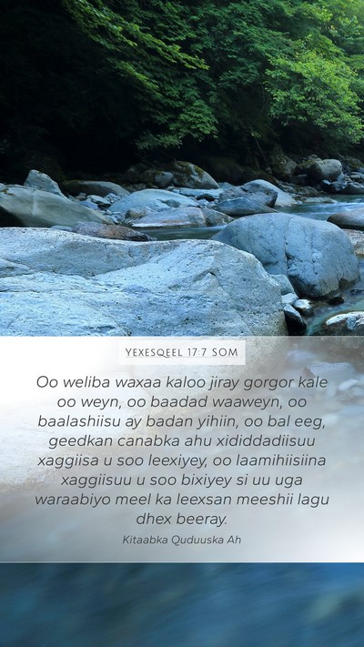 Yexesqeel 17:7 SOM Bible Verse Image