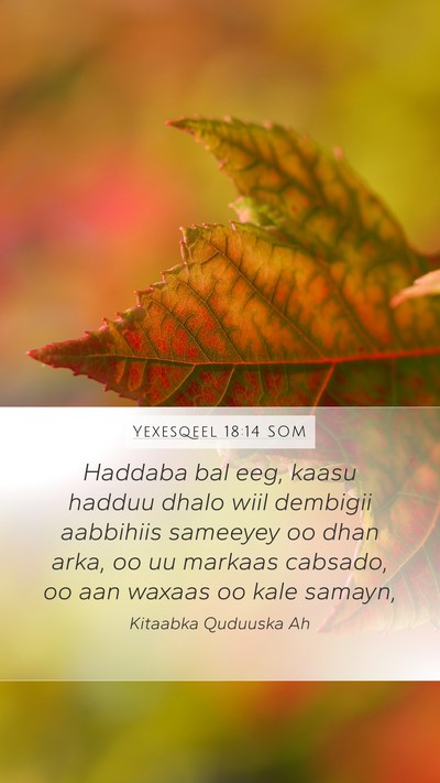 Yexesqeel 18:14 SOM Bible Verse Image