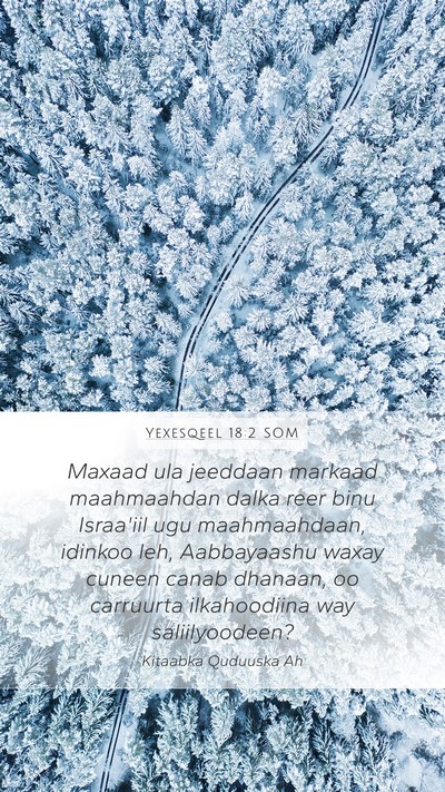 Yexesqeel 18:2 SOM Bible Verse Image