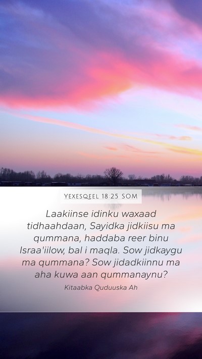 Yexesqeel 18:25 SOM Bible Verse Image