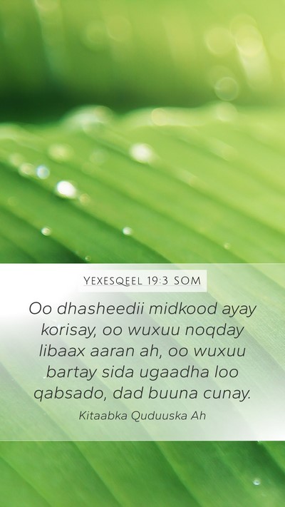 Yexesqeel 19:3 SOM Bible Verse Image