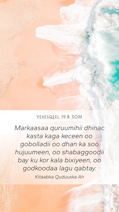 Yexesqeel 19:8 SOM Bible Verse Image