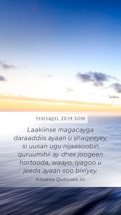 Yexesqeel 20:14 SOM Bible Verse Image