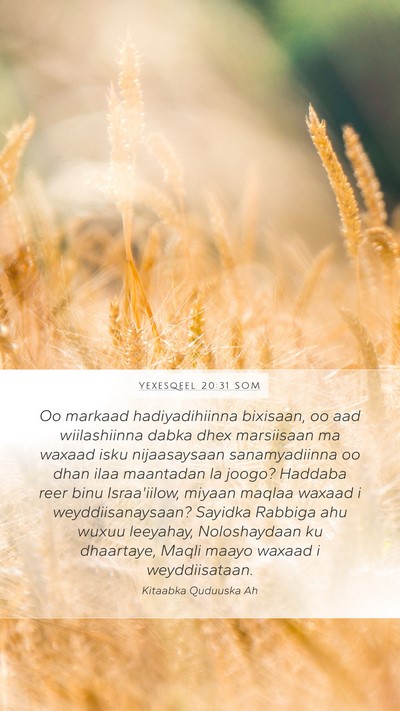 Yexesqeel 20:31 SOM Bible Verse Image