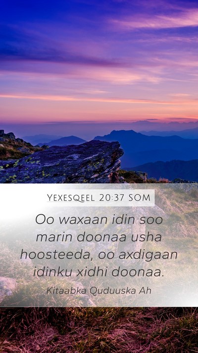 Yexesqeel 20:37 SOM Mobile Phone Wallpaper - Oo waxaan idin soo marin doonaa usha hoosteeda, - Mobile Bible Verse Wallpaper