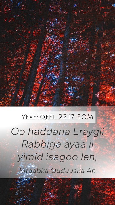 Yexesqeel 22:17 SOM Mobile Phone Wallpaper - Oo haddana Eraygii Rabbiga ayaa ii yimid isagoo - Mobile Bible Verse Wallpaper
