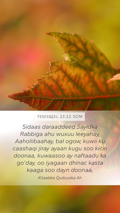 Yexesqeel 23:22 SOM Mobile Phone Wallpaper - Sidaas daraaddeed Sayidka Rabbiga ahu wuxuu - Mobile Bible Verse Wallpaper
