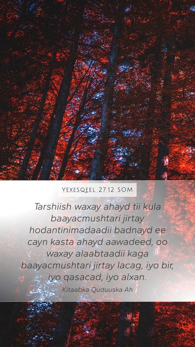 Yexesqeel 27:12 SOM Bible Verse Image