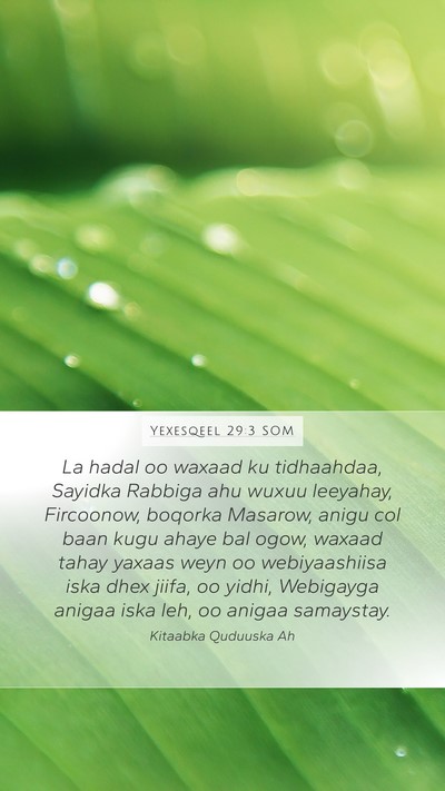 Yexesqeel 29:3 SOM Bible Verse Image