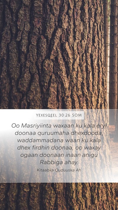 Yexesqeel 30:26 SOM Bible Verse Image