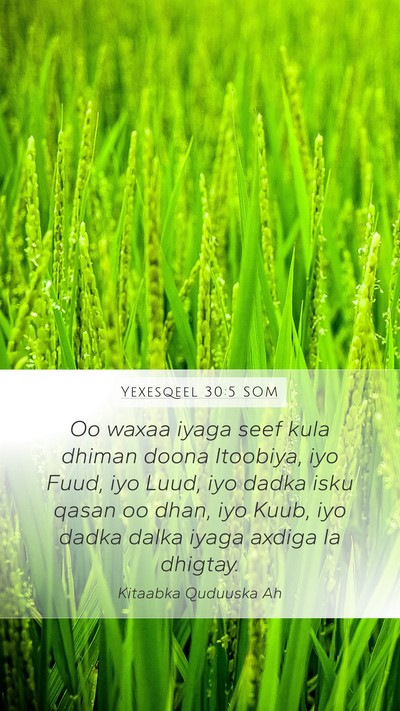 Yexesqeel 30:5 SOM Bible Verse Image