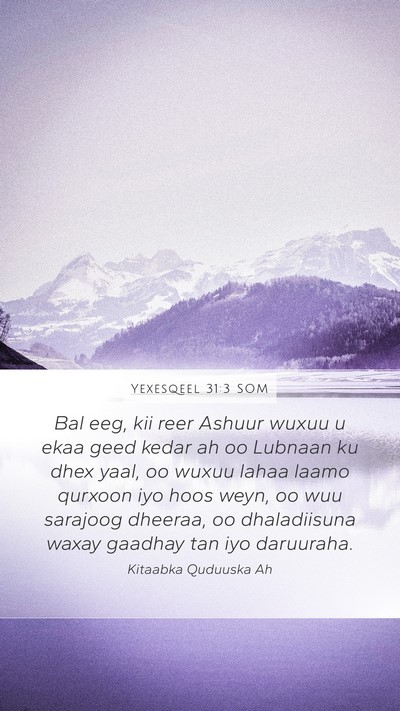 Yexesqeel 31:3 SOM Bible Verse Image
